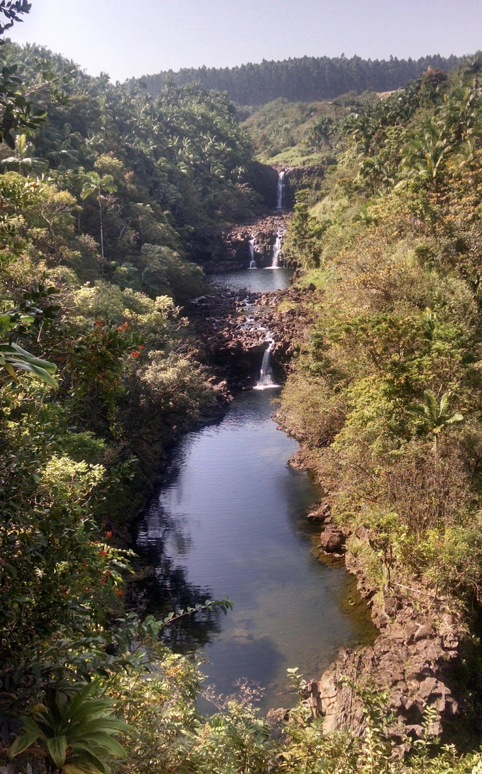 Gardens & Waterfall Zipline Tour in Hakalau, Hawaii