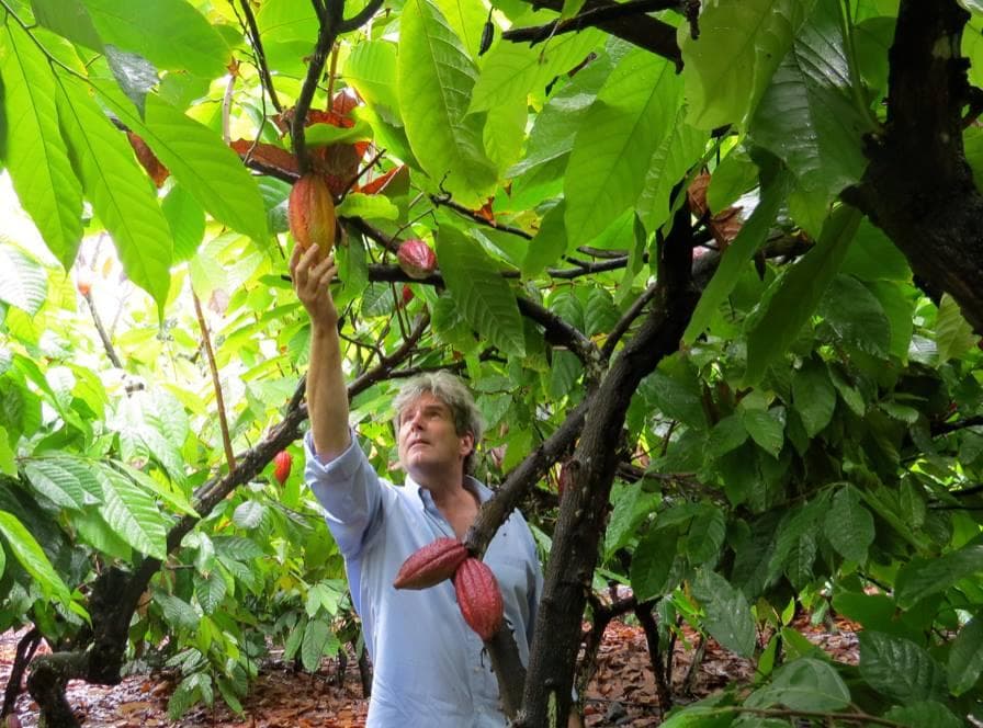 Chocolate Factory Farm Tour by Original Hawaiian Chocolate in Kailua-Kona