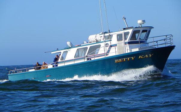 Betty Kay Charters fleet