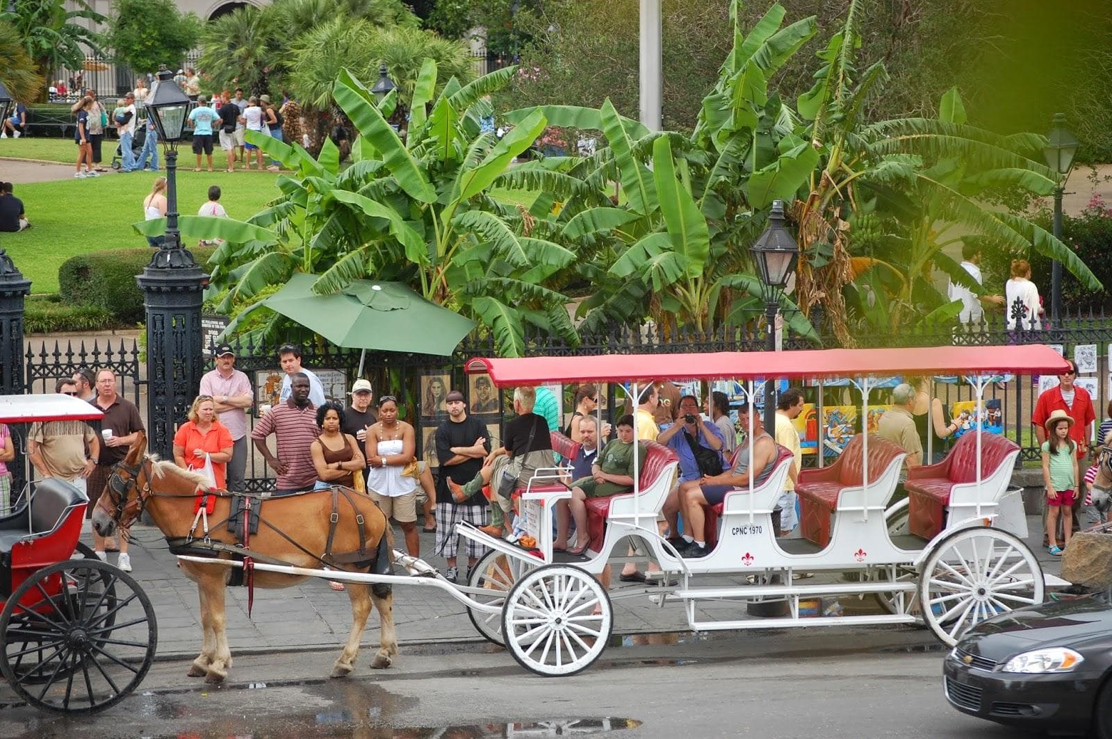 Garden District Walking Tour: Discover New Orleans’ American Sector History on Foot