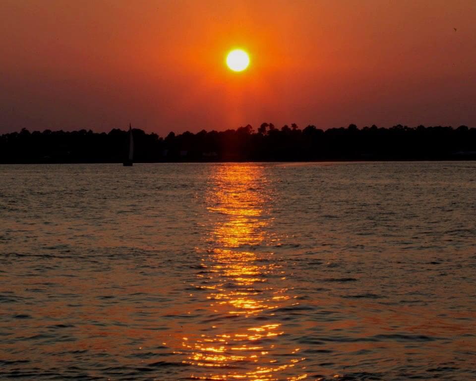 Sunset Cruise | Sightseeing Tour in Pensacola | Guided Tour, Boat Tour, Water Activities, Wildlife photo 1