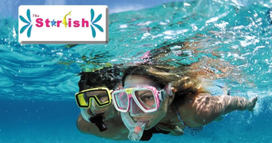 Snorkel Tour | Snorkel in Marathon, Florida