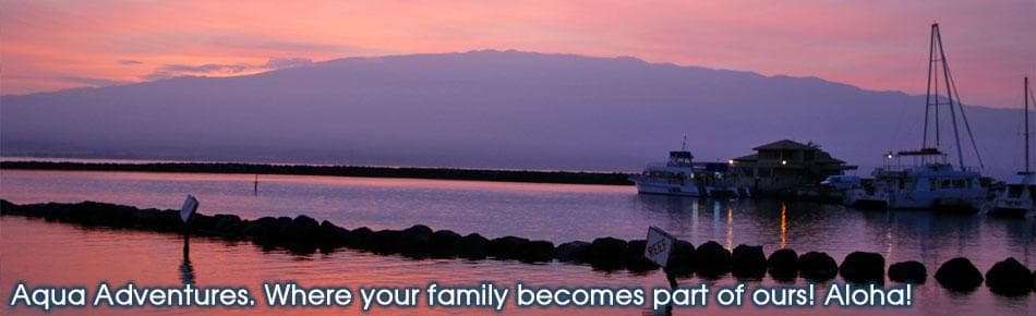 Sunset sailboats moored in Maui harbor lining calm pink waters