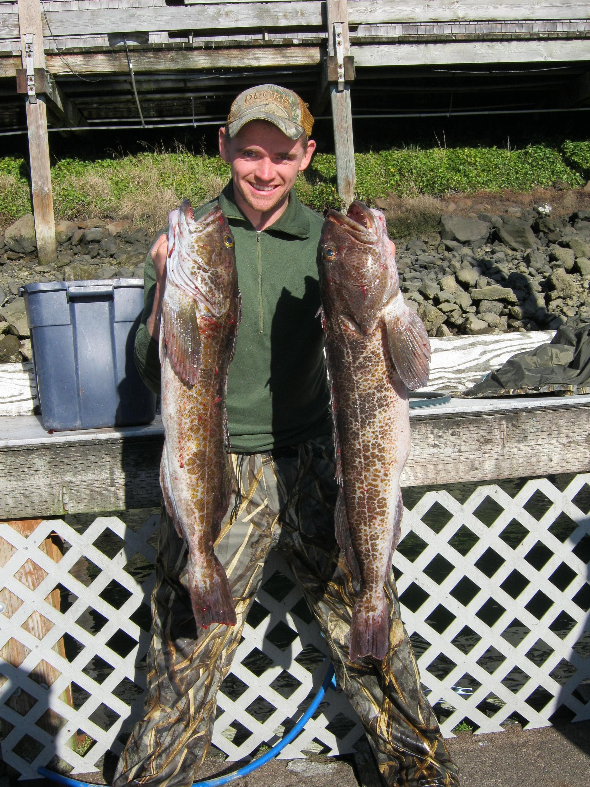 Full Day Offshore Rock Fish & Lingcod Fishing in Newport, OR