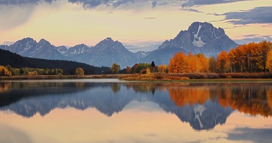 Experience the Summer & Fall Wildlife Sunrise Safari in Jackson Hole, Wyoming