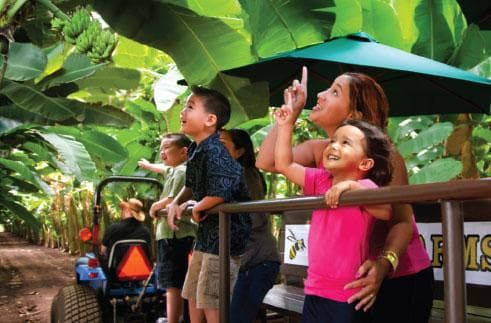 Family wagon ride with kids enjoying banana trees and farm views