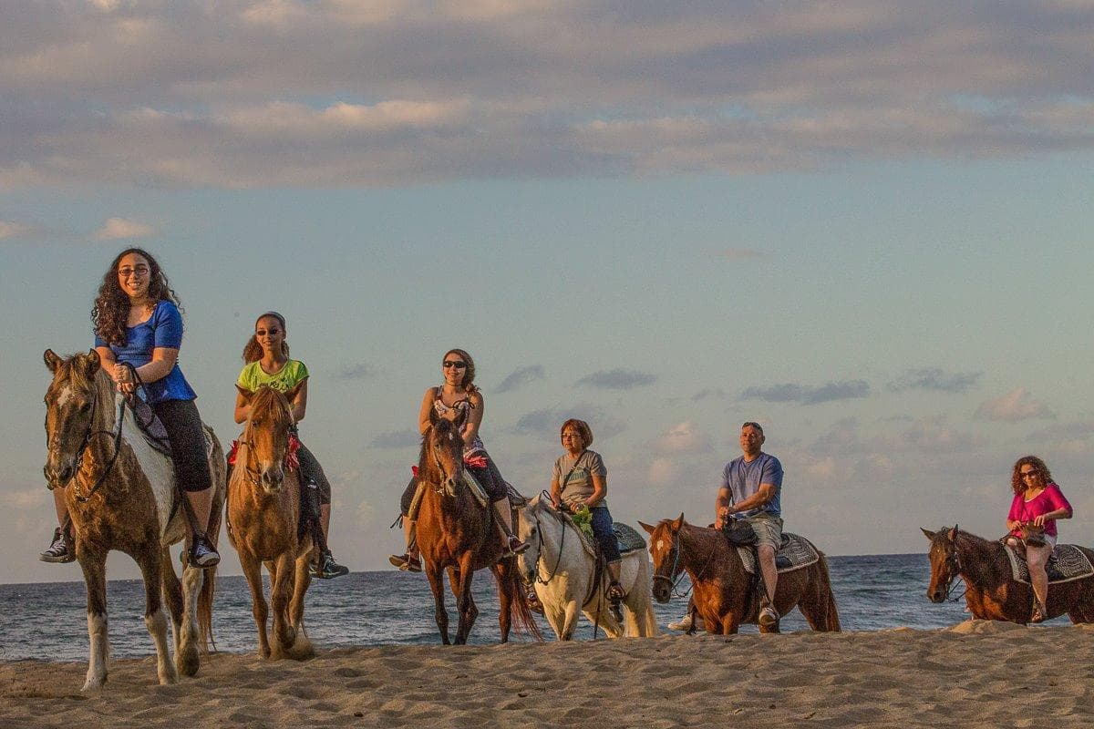 Group horseback riding along sunset beach shoreline