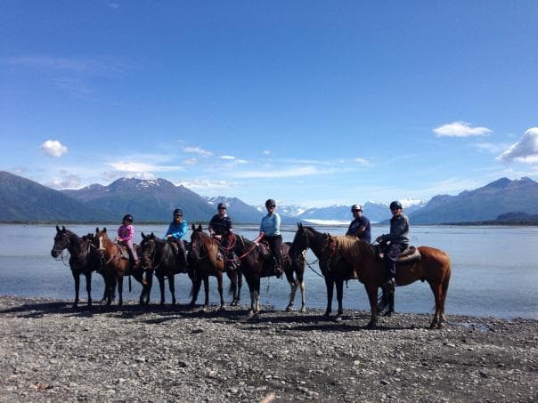 Experience a Magical Winter Sleigh Ride in Palmer, Alaska