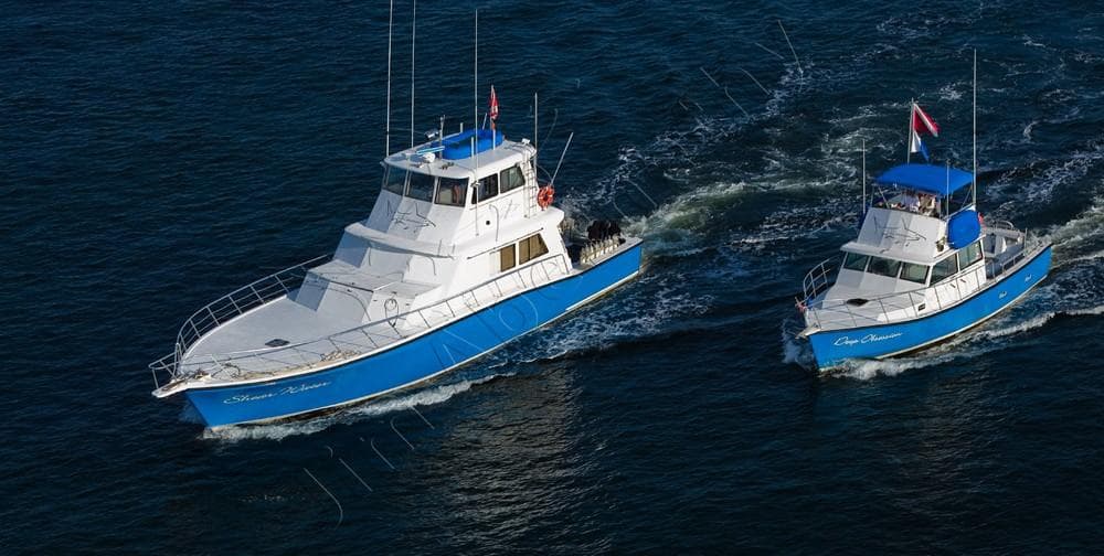 Live-Aboard Shark Diving Weekend From Riviera Beach on the MV Shear Water