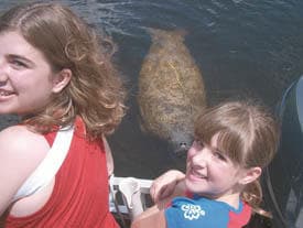 Everglades Fishing Adventure: Catch-and-Release Fun Among Manatees and Alligators