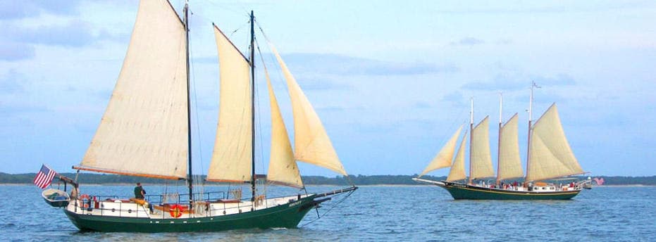 Daffodil Festival Sails Aboard Schooner Alliance II on York and North Rivers