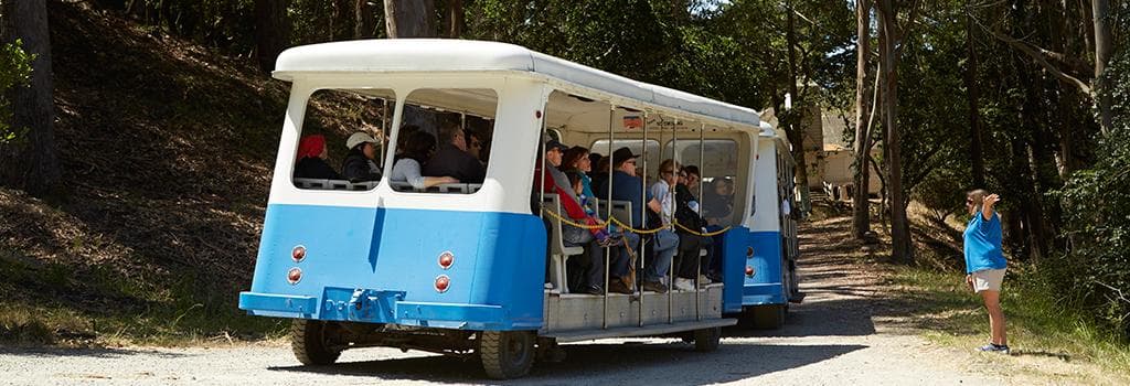 Angel Island Tram Tour | Sightseeing Tour in Tiburon, California
