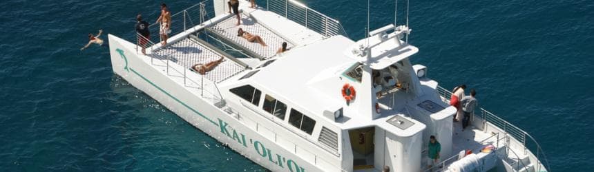 Afternoon Dolphin Watch & Snorkel Cruise in Kapolei, Hawaii