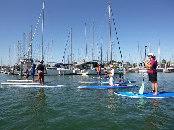 Standup paddleboarders paddling in busy marina with masts