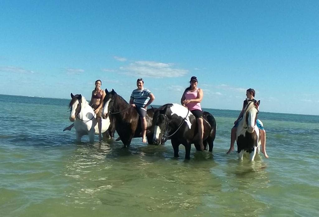 Beach horseback ride with riders wading in turquoise ocean