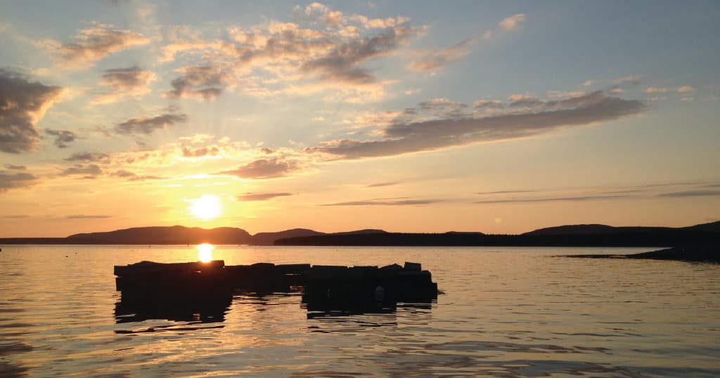 Sunset Cruise in Mount Desert, Maine with Sea Princess Cruises