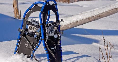 Snowshoe Tour in North Pole Alaska: Wildlife & Winter Fun