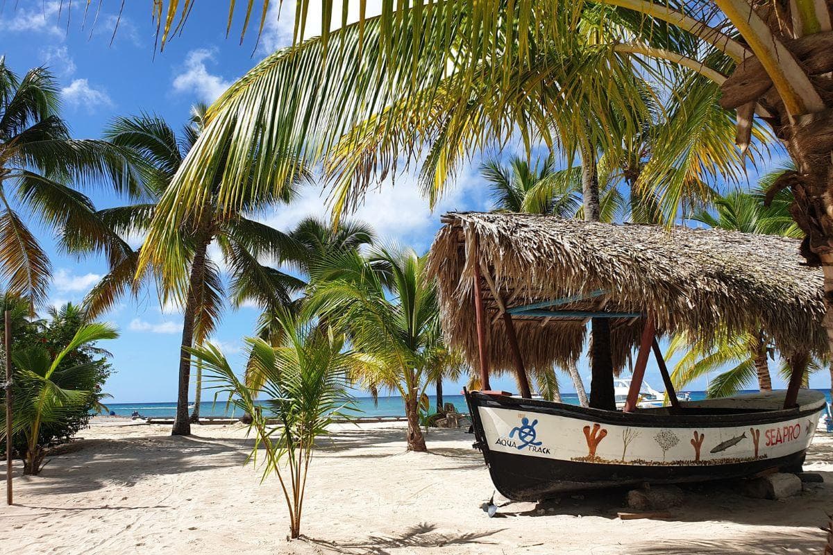 Saona Island