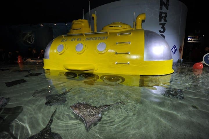 Inside SEA LIFE Great Yarmouth: Penguins, Rays & Interactive Rockpools photo 5