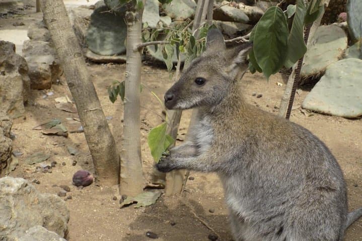 Lagos Zoo Admission Ticket — Visitor Guide & Practical Tips