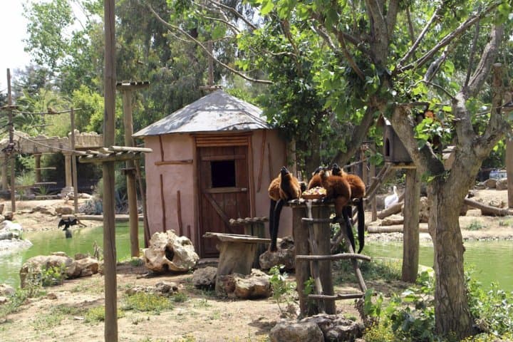 Lagos Zoo Admission Ticket — Visitor Guide & Practical Tips photo 2