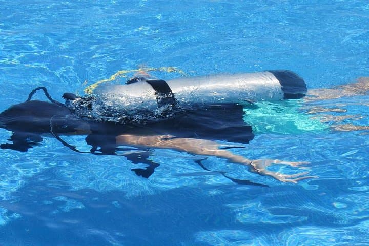 Discover Scuba Diving in Montego Bay: Introductory Shore Dive with a Dive Master