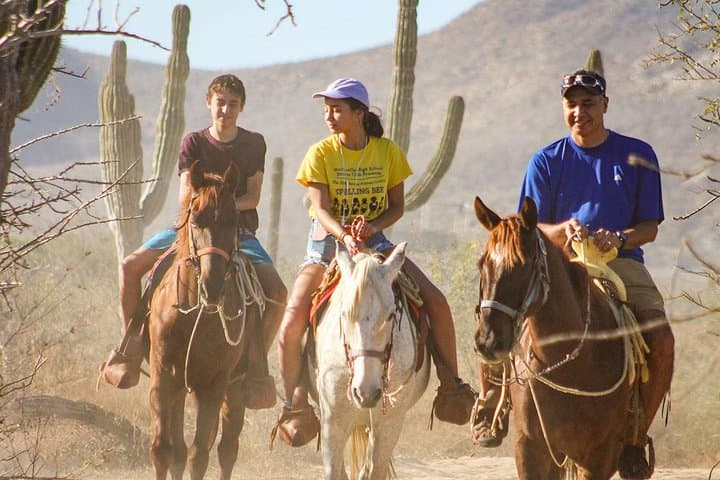 Los Cabos Horseback Riding Tour: Pacific Beach Ride & Tequila Tasting photo 2