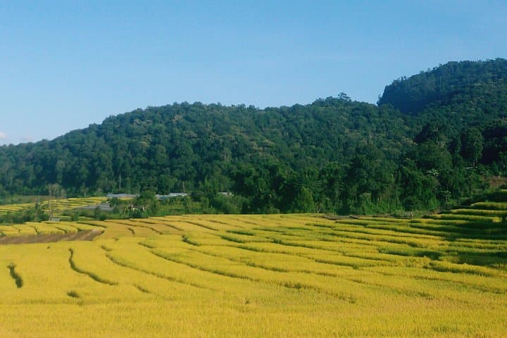 Doi Inthanon Day Trip from Chiang Mai: Summit, Stupas & Waterfalls photo 2