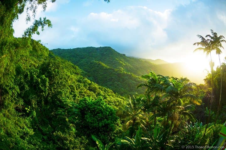 El Yunque Rainforest Off-the-Beaten-Path: Drive Yourself to a Hidden Waterpark photo 4
