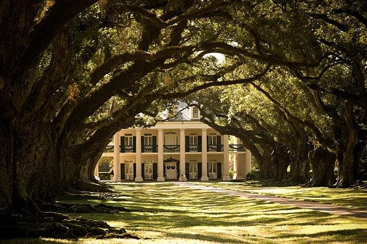 Oak Alley Plantation and Airboat Swamp Tour — From New Orleans to the Bayou