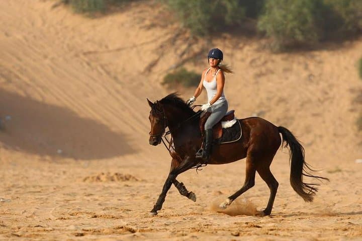 Palm Grove Horse Ride Near Marrakech: 1-Hour Guided Trail photo 2
