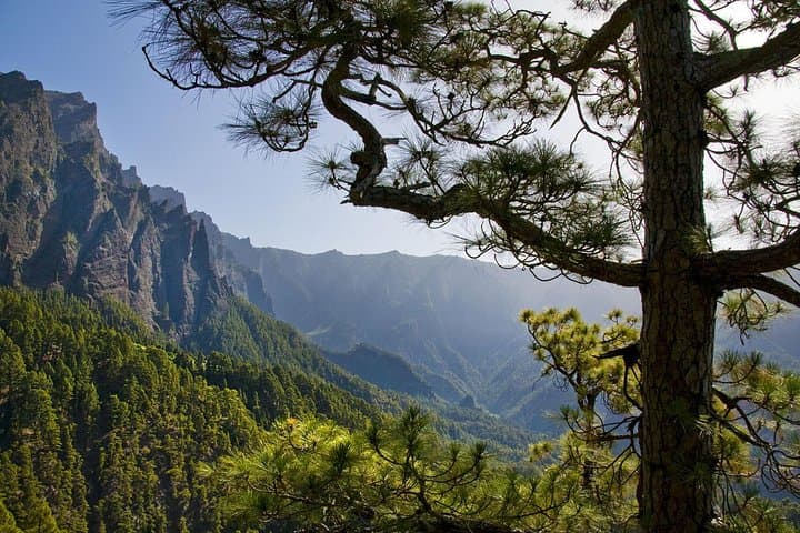 Exploring Caldera de Taburiente: Guided High-Altitude Walk on La Palma photo 5