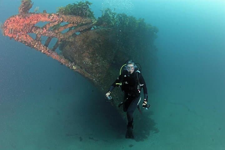 Dive the Rainbow Warrior Wreck — Cavalli Islands Charter