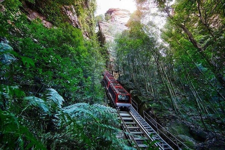 Private Blue Mountains Day Tour: Scenic World, Echo Point & Featherdale Wildlife photo 6