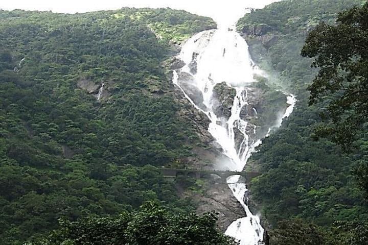 Dudhsagar Waterfall Jungle Hike & Zipline — Private Goa Adventure
