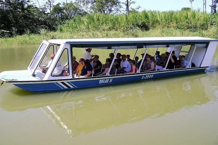 Tortuguero Zipline and Canal Boat Tour — Canopy Zips & Rainforest Canals photo 1