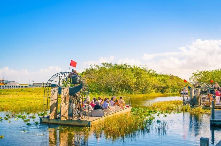 Everglades Airboat Safari from Miami Beach — Half-Day Alligator & Wetlands Tour photo 6