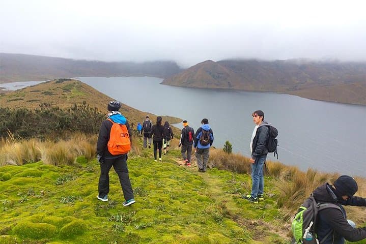 Explore Antisana Ecological Reserve: Páramo Hike, Condors & Downhill Bike from Quito