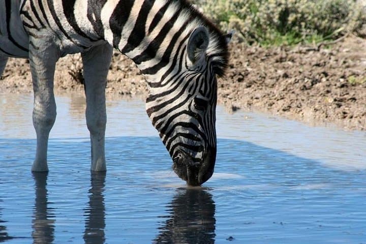 10-Day Namibia Highlights: Sossusvlei, Etosha & Damaraland Guided Tour photo 2
