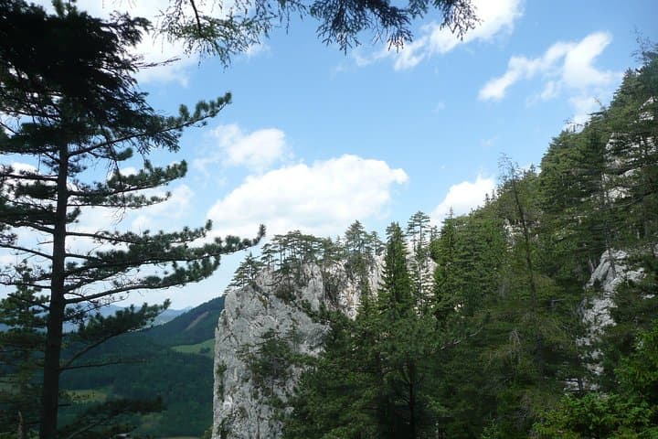 Hohe Wand Great Gorge: Private 4-Hour Alpine Hike from Vienna photo 2