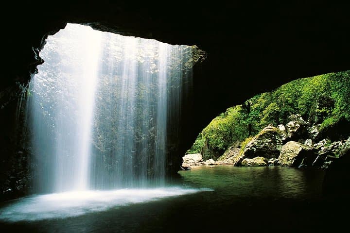 Springbrook Natural Bridge & Waterfalls Tour from Gold Coast