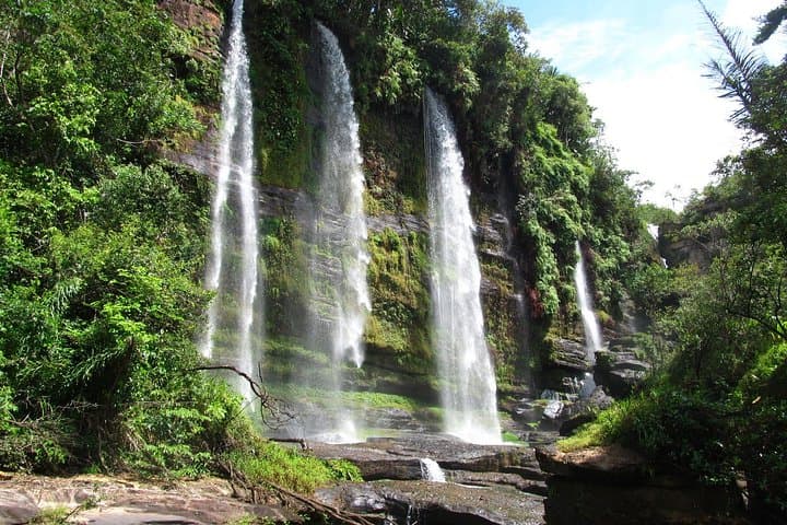 4-Day Amazon Jungle Adventure from Bogotá to Caño Cristales