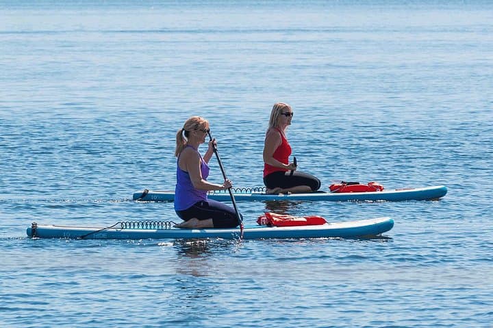 Daytona Beach Dolphin & Manatee Paddleboard Tour — 2-Hour Wildlife SUP Adventure