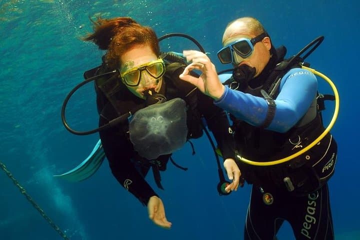 Discover Scuba in Puerto Morelos — Introductory Reef Dive on the Mesoamerican Barrier Reef