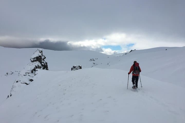 Wanaka Snowshoe Tour: Guided Snowshoeing in the Pisa Range photo 2