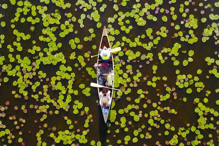 Canoe Birdwatching at Cape Vente: Paddle Into the Nemunas Delta’s Migratory Highways photo 5