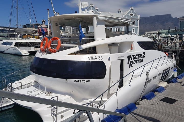 Cape Town Sunset & Champagne Cruise on Tigger 2 — Clifton to Table Bay