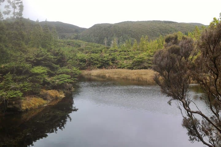 Terceira Island Walking Trails: Explore Azores Footpaths on Guided Hikes photo 2