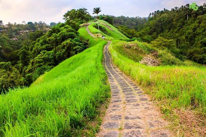 Ubud Countryside Day Tour — Campuhan Ridge Walk, Tegalalang & Tirta Empul photo 3