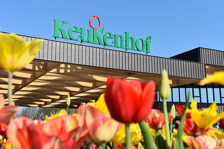 Keukenhof Gardens & Tulip Experience: Day Trip from Amsterdam photo 5